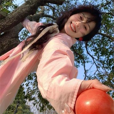 笨蛋的悲剧人生